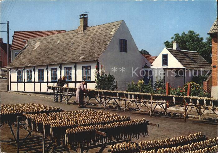 Bornholm Aarsdale Rogeri