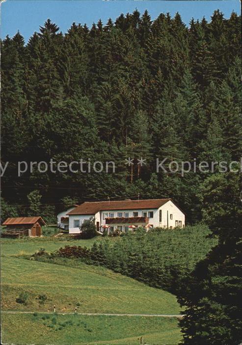 Grafenau Niederbayern Cafe Pension Waldesruh