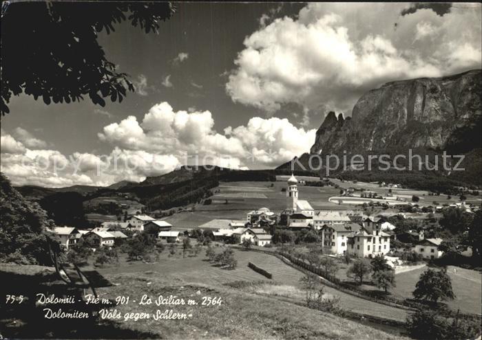 Voels Schlern Suedtirol Panorama