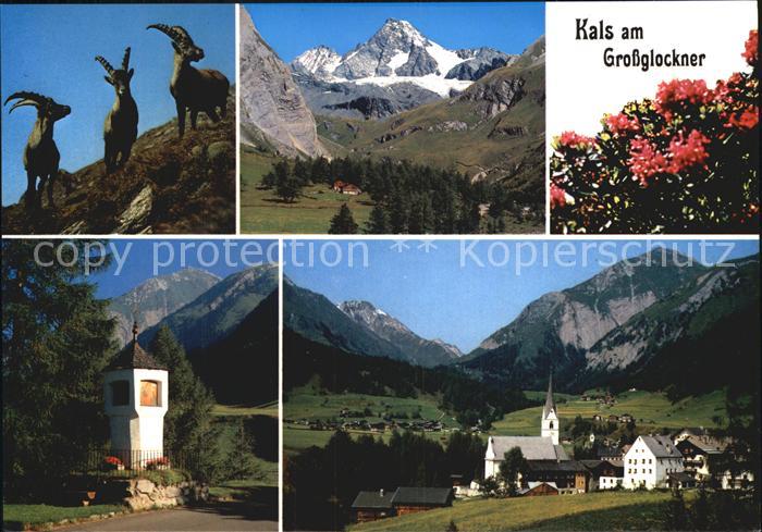 Kals Grossglockner Steinbruecke Schobergruppe