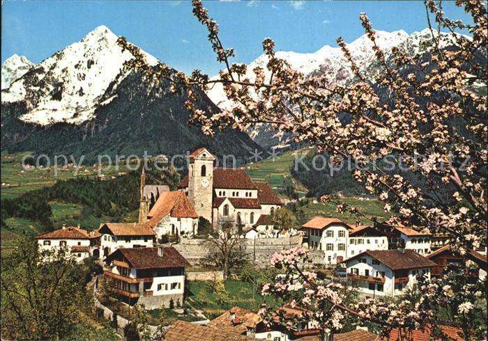 Schenna Meran Blick gegen Mutspitze
