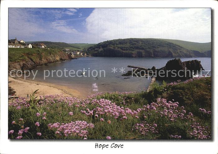 Kingsbridge South Hams Hope Cove