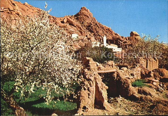 Tafraout Mosquee entre les rochers