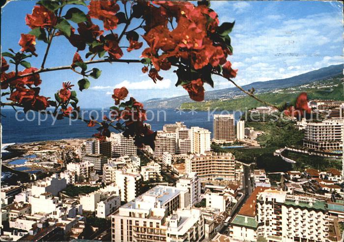 Puerto de la Cruz Panorama parcial
