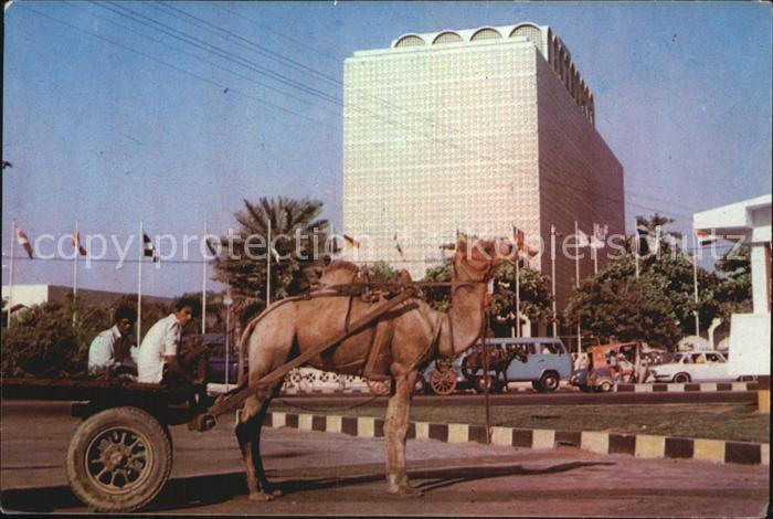 Karachi Camel Cart