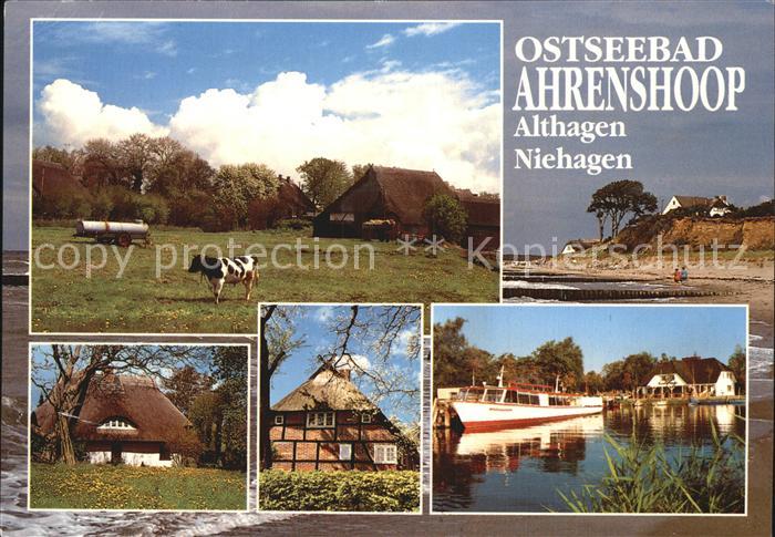 Ahrenshoop Ostseebad Hafen Strand Steilkueste