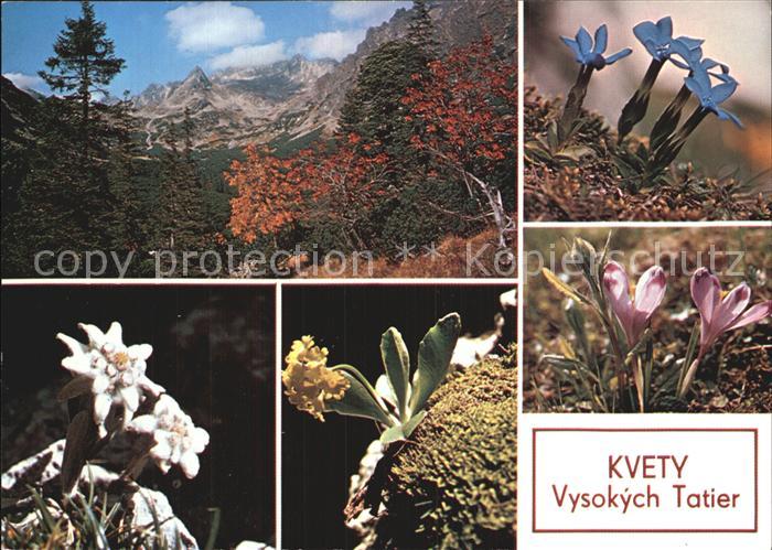 Vysoke Tatry Vysokych Tatier