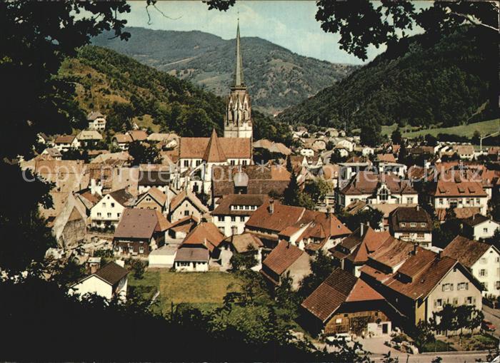 Schoenau Schwarzwald Panorama