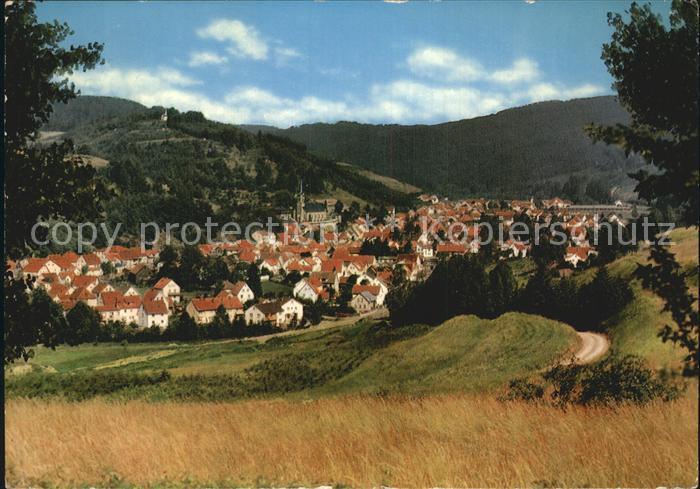 Wallenfels Oberfranken Panorama