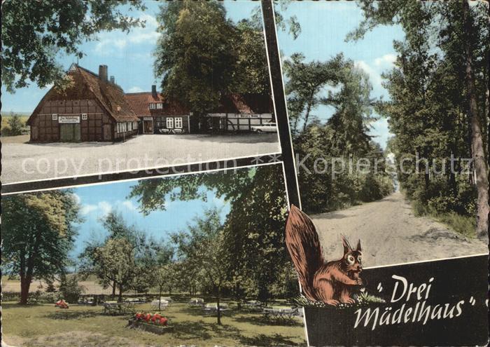 Kirchseelte Drei Maedelhaus