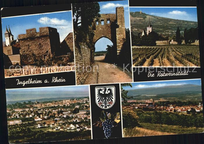 Ingelheim Rhein Weinberg