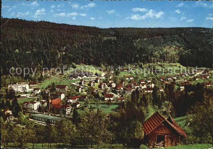 Wildbad Schwarzwald Panorama