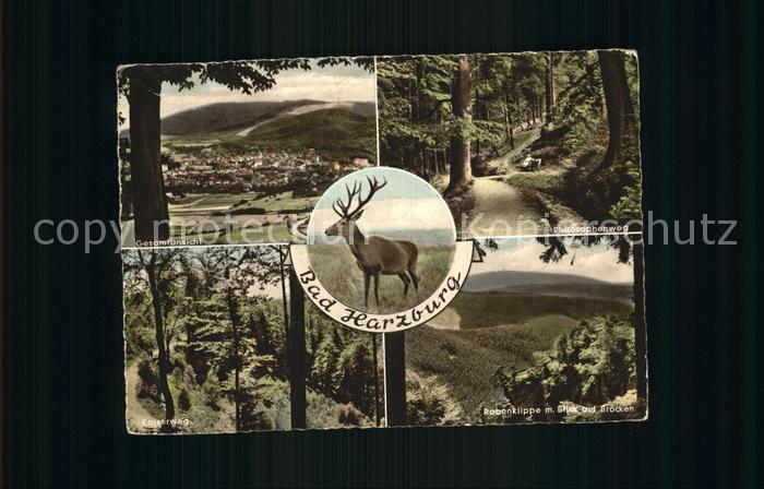 Bad Harzburg Rabenklipe Brocken