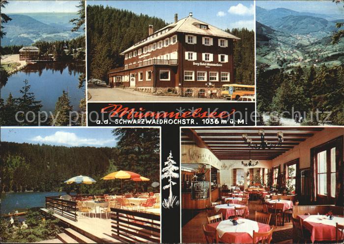 Seebach Ottenhoefen Schwarzwald Mummelsee Teilansicht Gasthaus