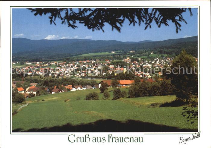 Frauenau Panorama