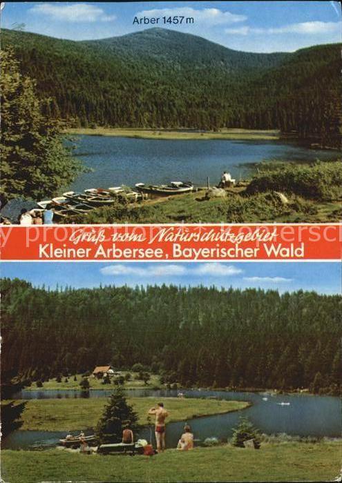 Arber Kleiner Arbersee