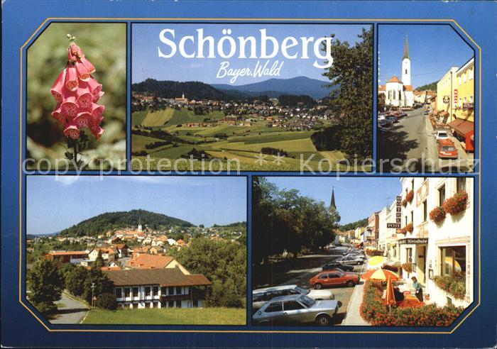 Schoenberg Bayerischer Wald Flora Panorama Kirche Teilansichten