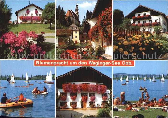 Waging See Blumen Ortsmotive Waginger See Segelboote