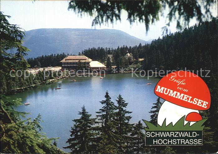 Mummelsee Berghotel Mummelsee