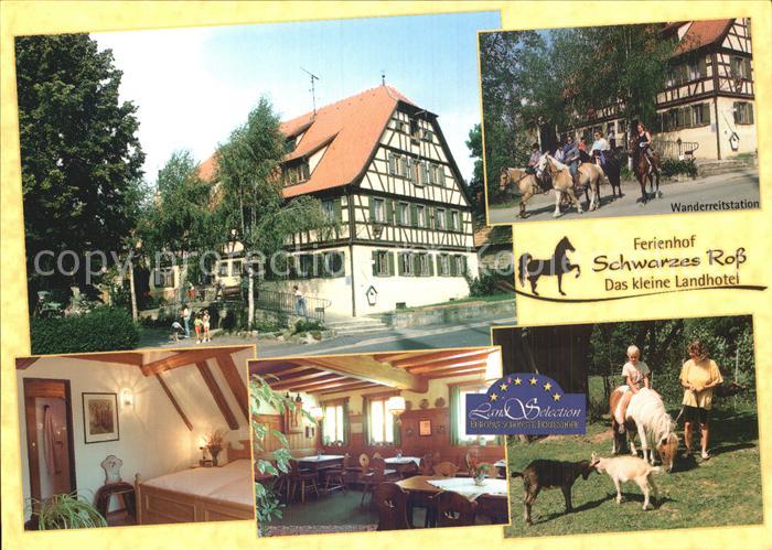 Steinsfeld Ferienhof Schwarzes Ross Landhotel Zimmer Gastraum Wanderreiten