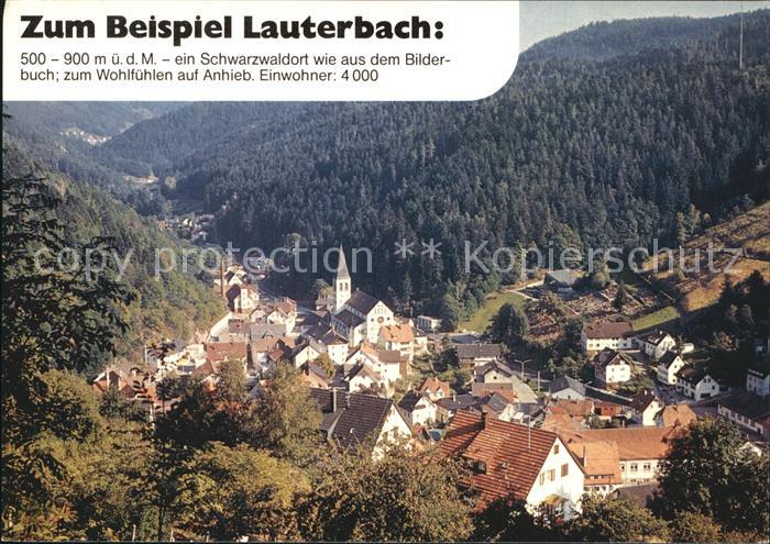 Lauterbach Schwarzwald Totalansicht