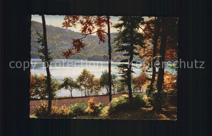 Daun Eifel Gemuendener Maar