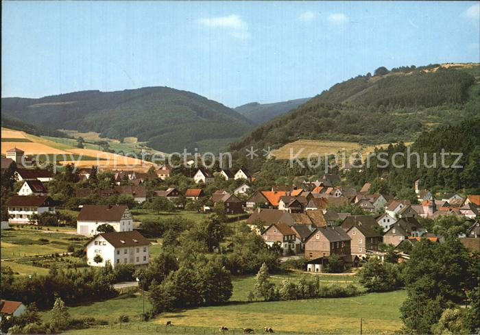 Liesen Panorama