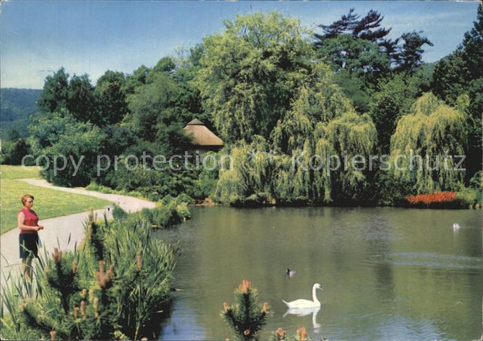 Bad Pyrmont Am Borkenhaeuschen Schwanenteich