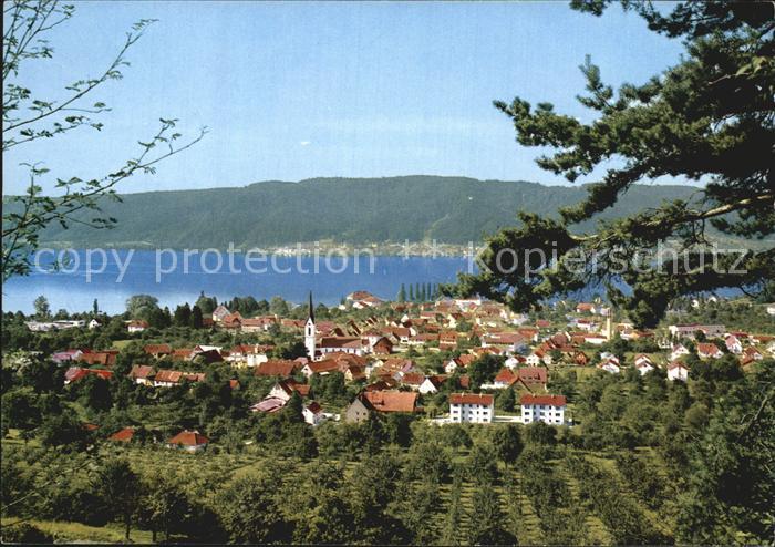 Ludwigshafen Bodensee Panorama