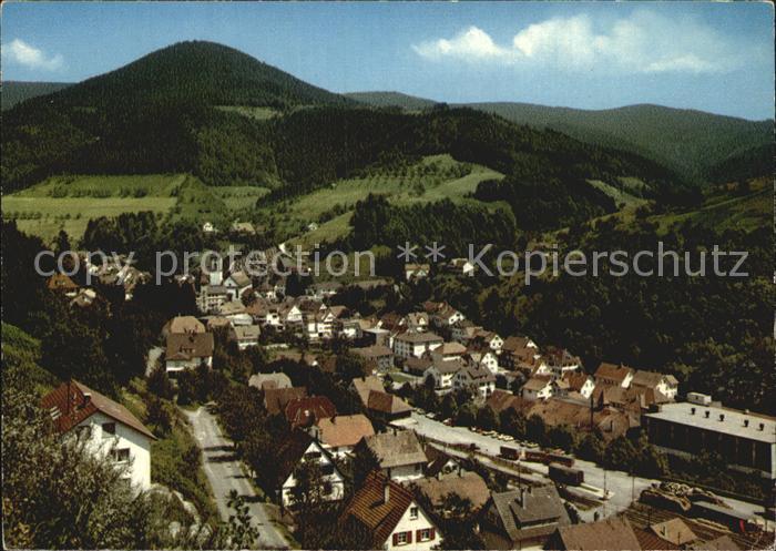 Bad Peterstal-Griesbach Panorama