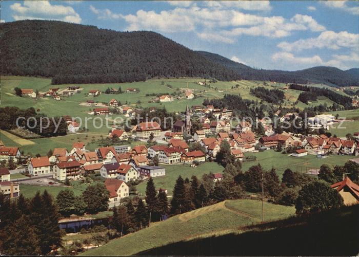 Mitteltal Schwarzwald Panorama
