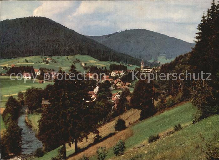 Mitteltal Schwarzwald Panorama