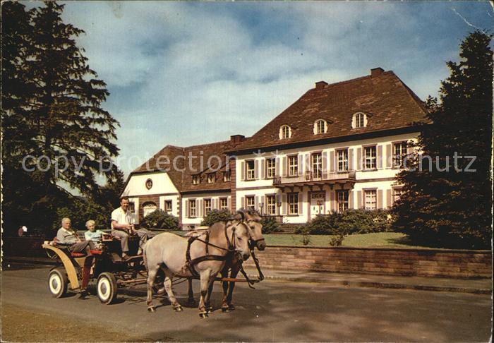 Neuhaus Solling Schloss Pferdekutsche