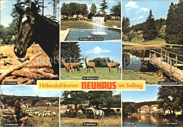 Neuhaus Solling Trakehner Schlossanlagen Wlldpark Lakenhausteich Schafherde Am T