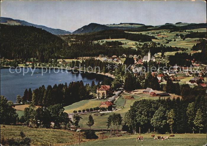 TITISEE Schwarzwald BW Panorama