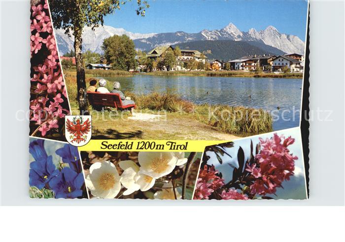Seefeld Tirol mit Wettersteingebirge Alpenflora