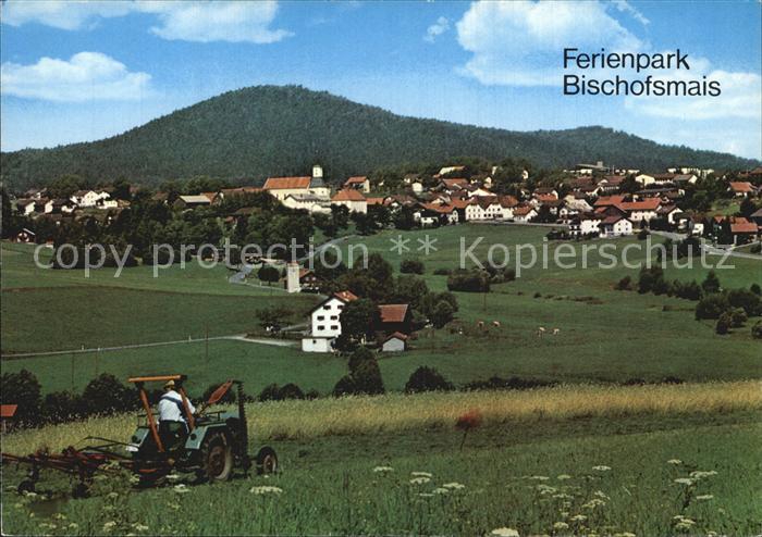 Bischofsmais Panorama