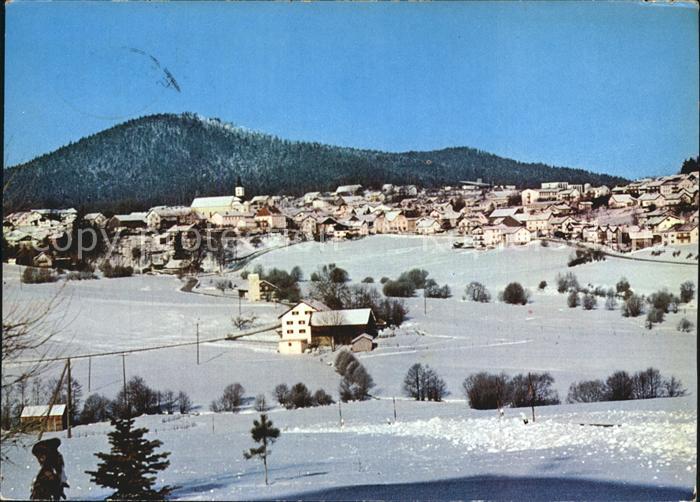 Bischofsmais Panorama
