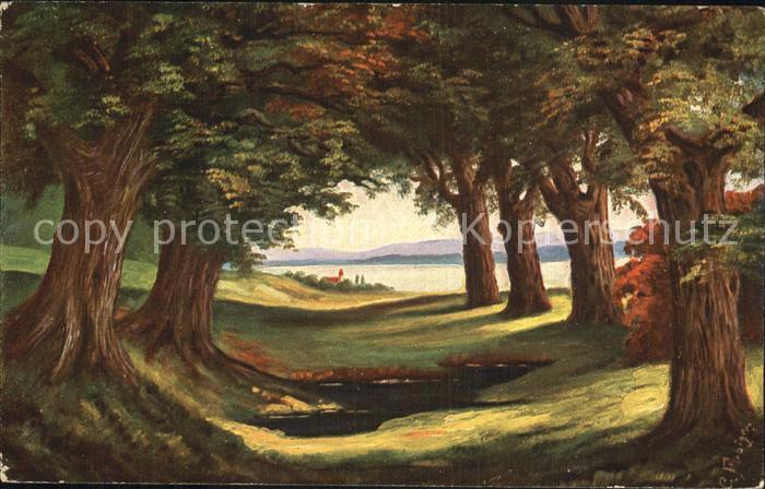 Fiebiger C. Verlag-Amag-Nr. 461 Wald Baeume See