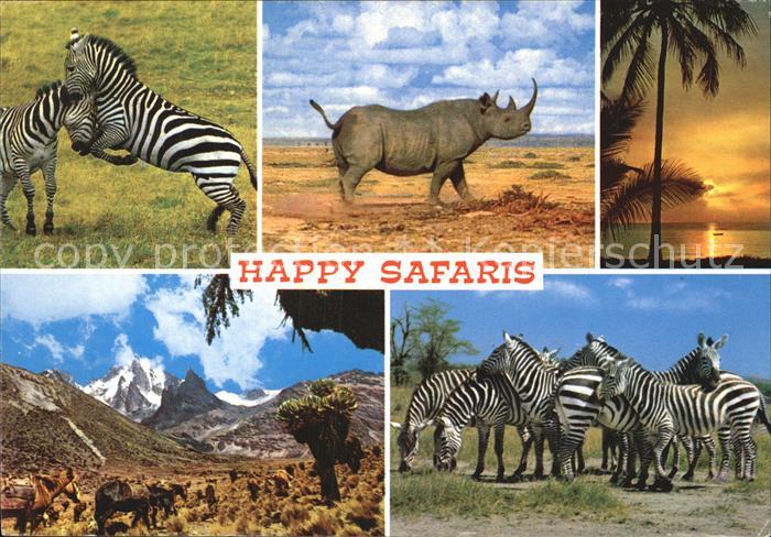 Tiere Safari Zebras Nashorn