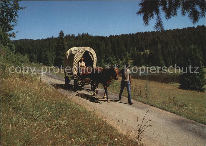 Pferdekutschen Franches-Montagnes
