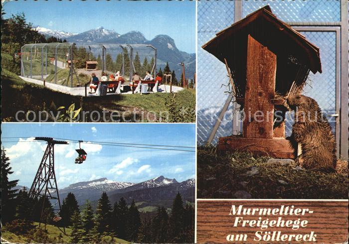 Murmeltier Freigehege Soellereck