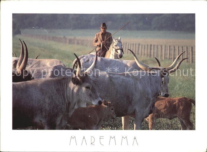 Kuehe Parco Naturale della Maremma
