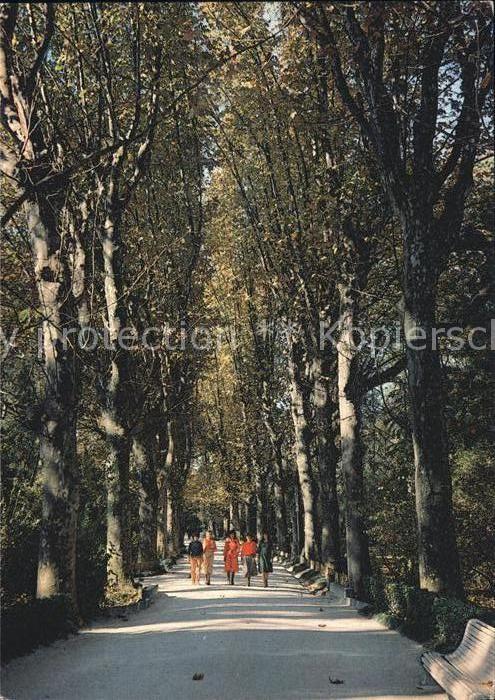 Gagra Platanowaja Allee