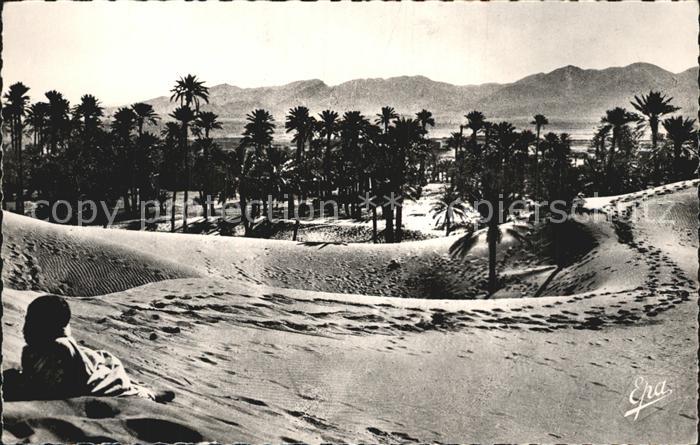 Colomb-Bechar Oasis dans les Dunes
