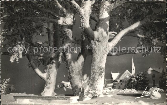 Chrea Cedres givres et l'Eglise en hiver