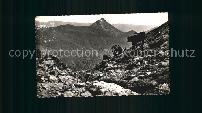 Saint-Flour Cantal Le Puy Griou vu des Flancs du Puy Mary Massif Central