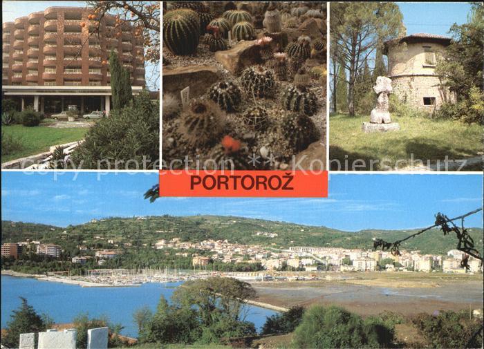 Portoroz Panorama Hotel Kakteen