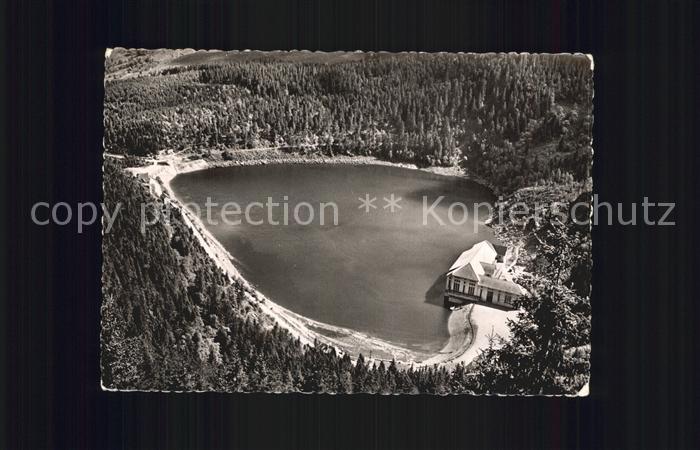 Lac Noir Alsace Vue aerienne