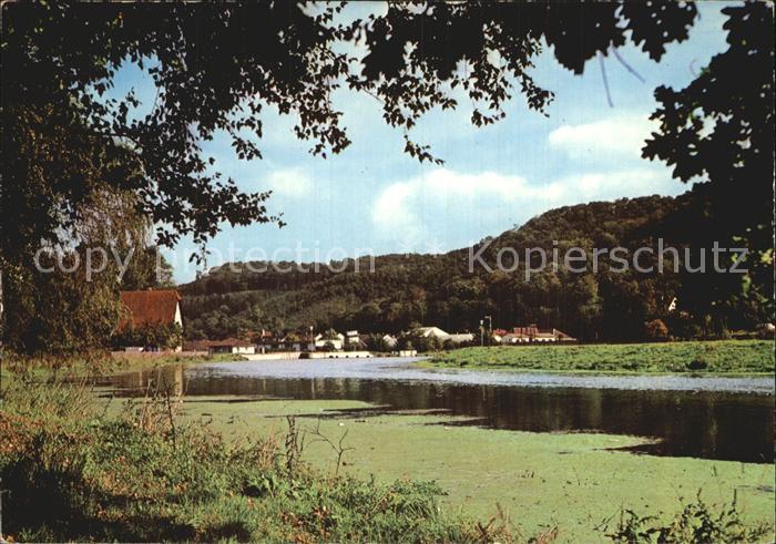 Niedermarsberg im Eichenwaeldchen Uferpartie am Fluss